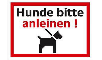 Hunde Regeln am Platz